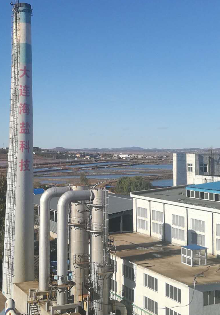 鹽除塵器 鹽除塵器